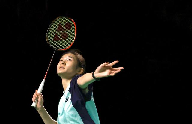 吸引了众多 吸引了众多