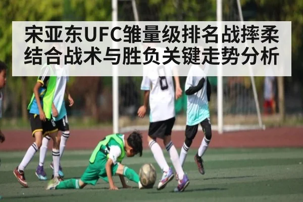 宋亚东UFC雏量级排名战摔柔结合战术与胜负关键走势分析